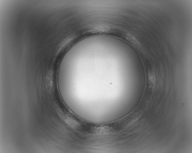 X0000063500396200601201418