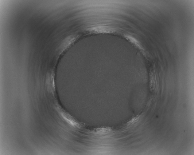 X0000063500398200601201418
