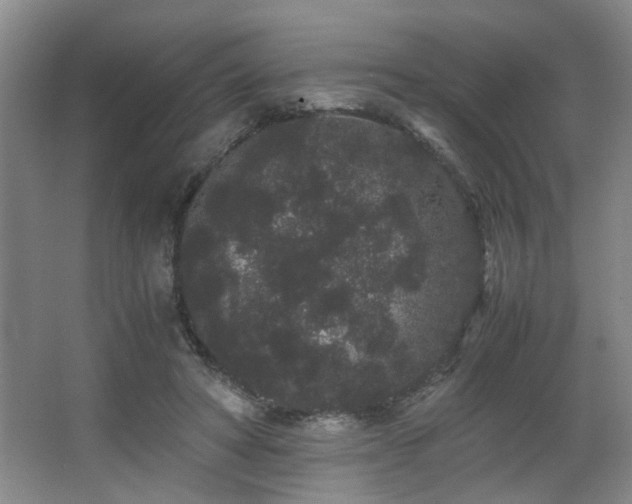 X0000063500402200601201418