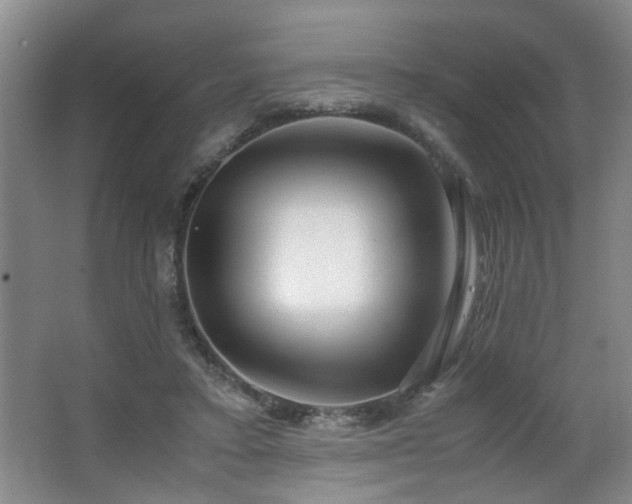 X0000063500403200601201418