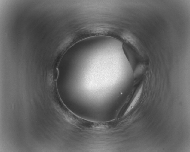 X0000063500407200601201418