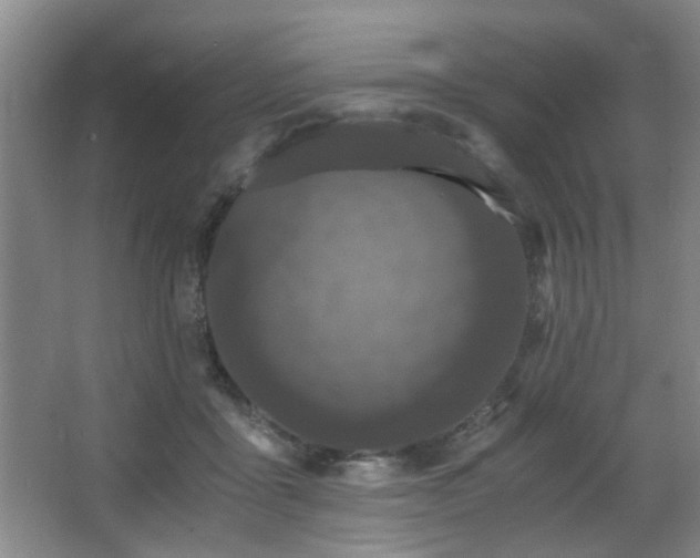 X0000063500411200601201418