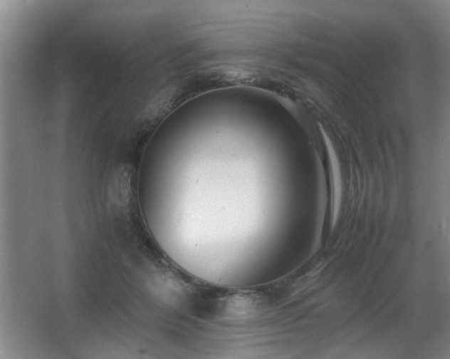 X0000063500412200601201418