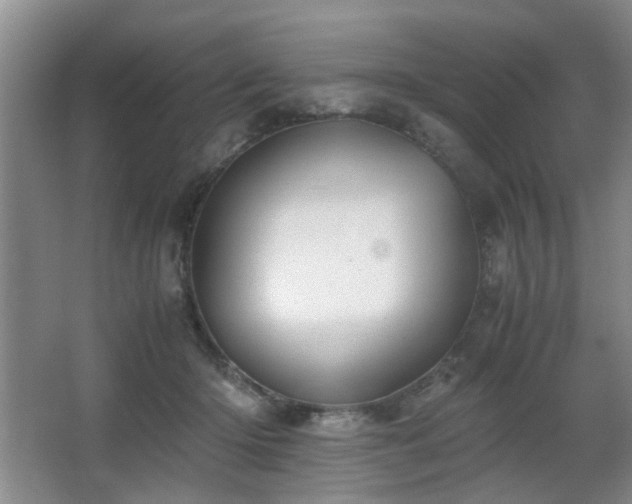 X0000063500414200601201418