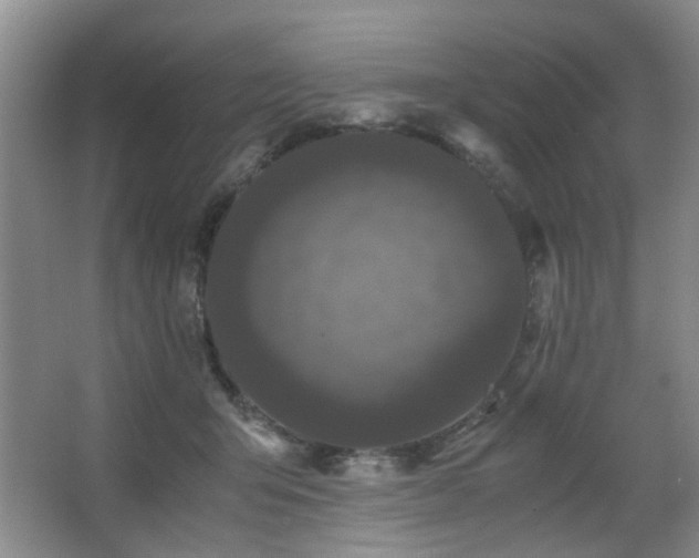 X0000063500415200601201418