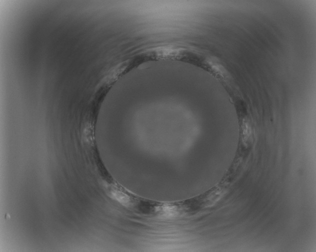 X0000063500419200601201418