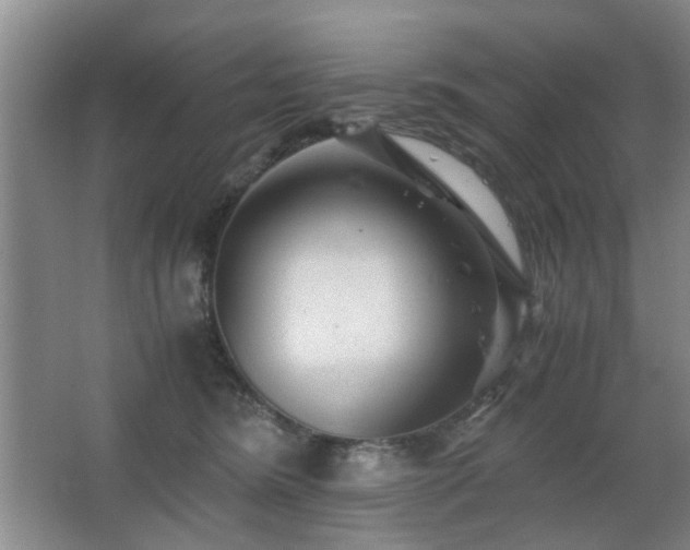X0000063500420200601201418