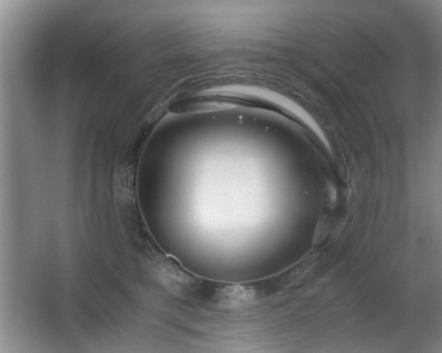 X0000063500421200601201418