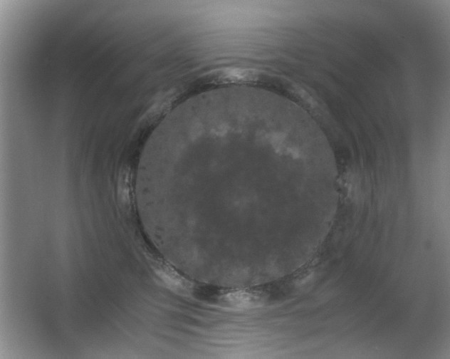 X0000063500423200601201417