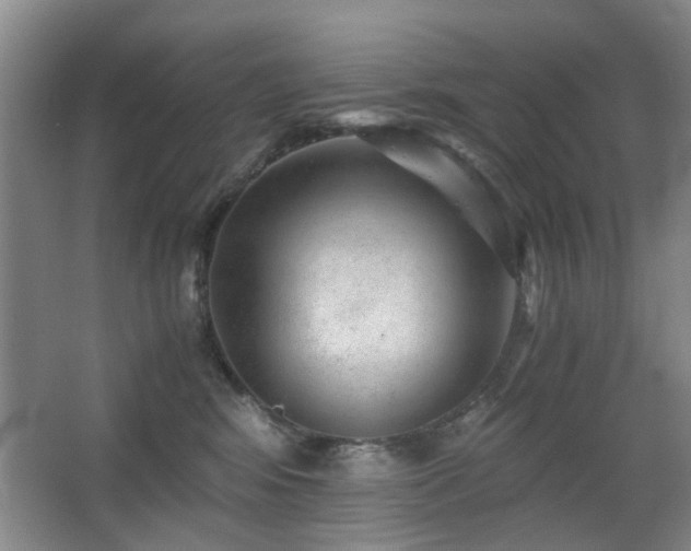 X0000063500424200601201417