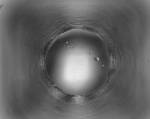 X0000063500425200601201417