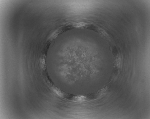 X0000063500427200601201417