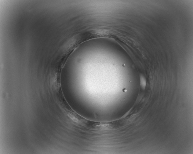 X0000063500428200601201417