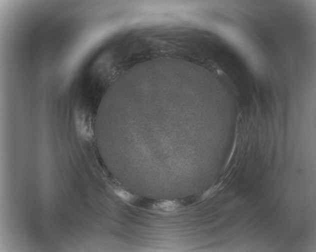 X0000063500431200601201417