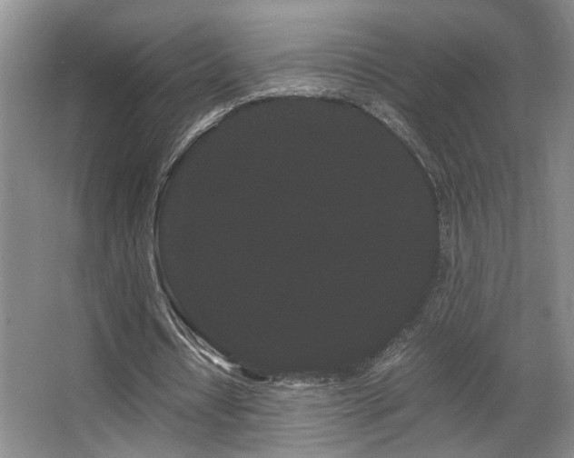 X0000063500434200601201417