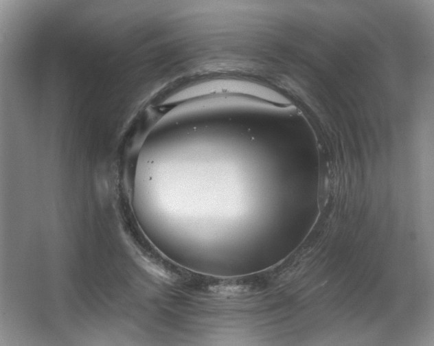 X0000063500448200601201417