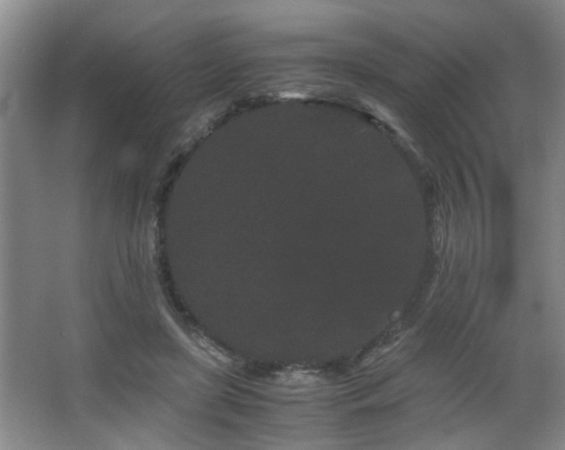 X0000063500451200601201417
