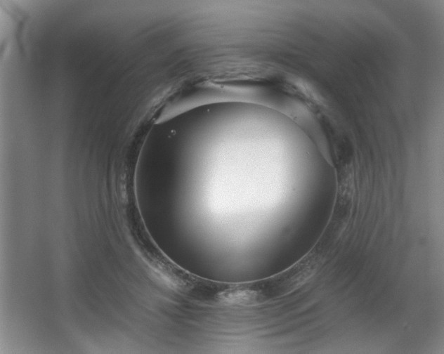 X0000063500452200601201417
