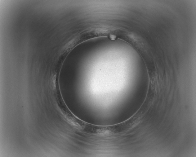X0000063500454200601201417