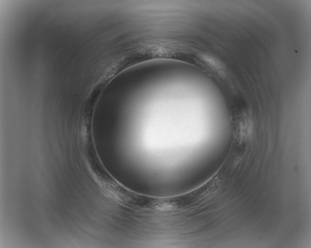 X0000063500456200601201417