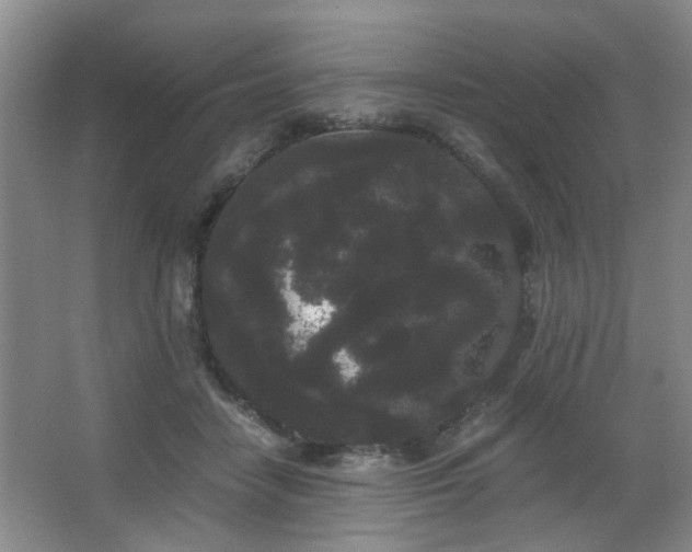 X0000063500458200601201417