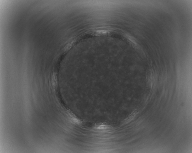 X0000063500467200601201417