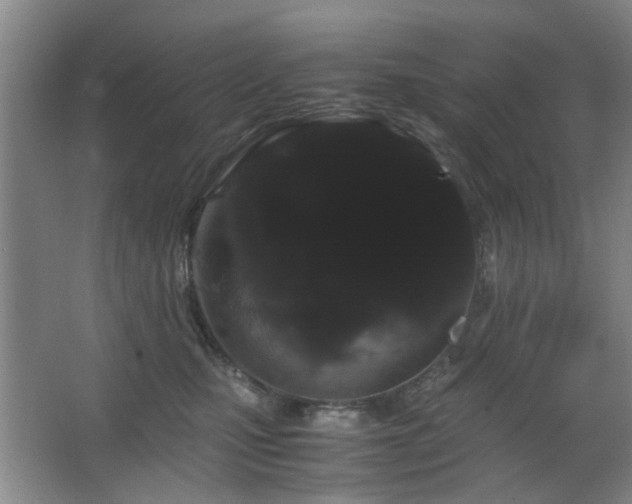 X0000063500471200601201417