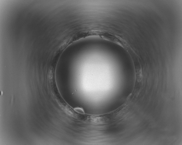 X0000063500472200601201417