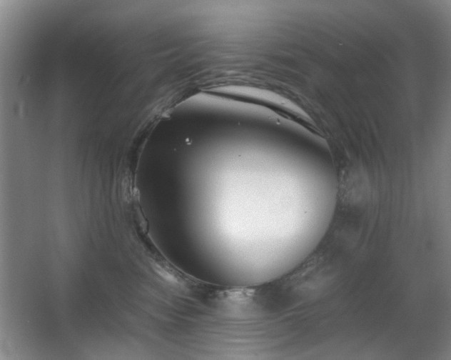 X0000063500474200601201417