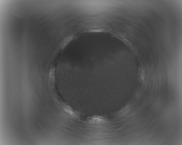 X0000063500475200601201417