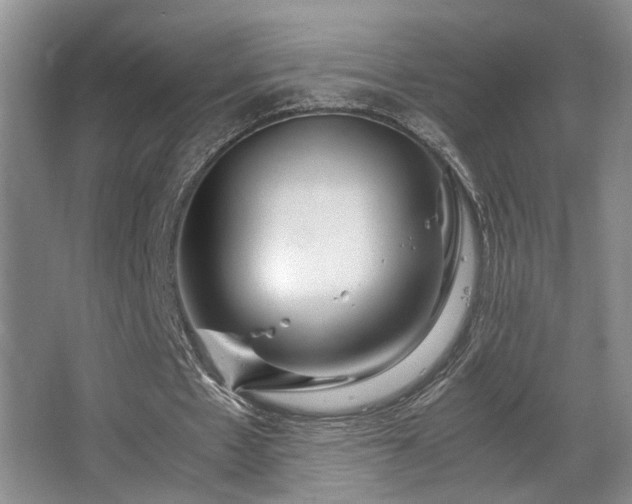 X0000063500481200601201417