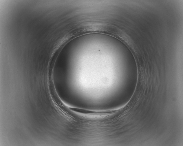 X0000063500482200601201416