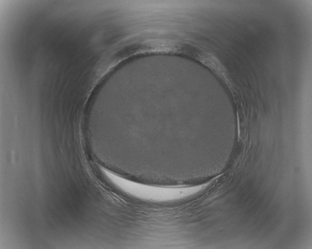 X0000063500483200601201416