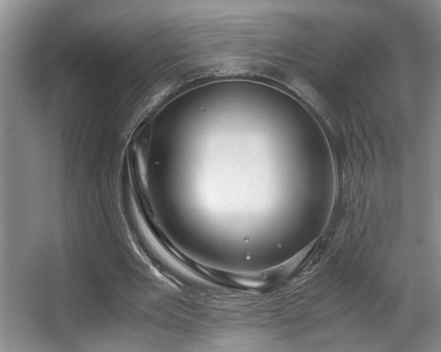 X0000063500485200601201416
