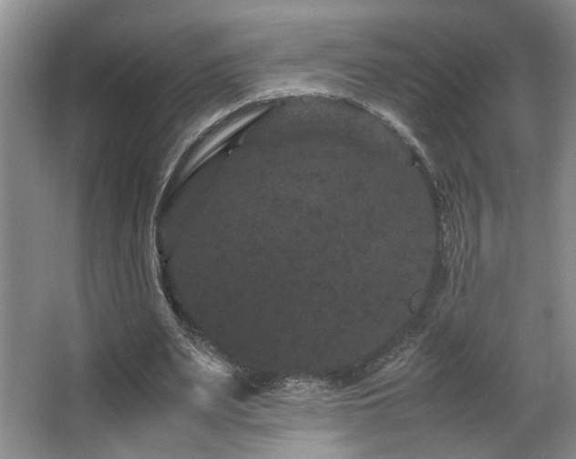 X0000063500487200601201416