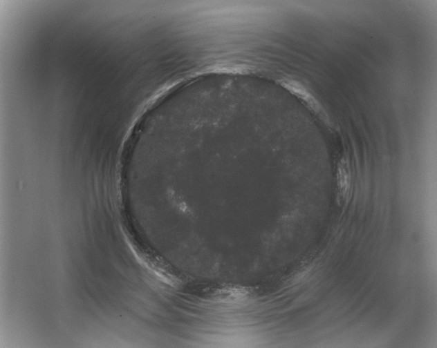 X0000063500492200601201416