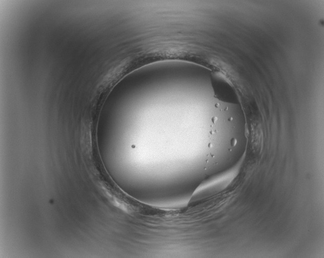 X0000063500493200601201416