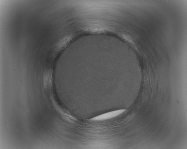 X0000063500495200601201416