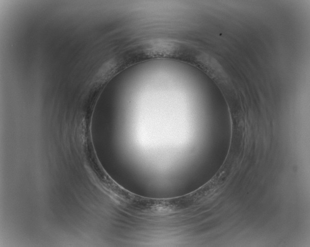 X0000063500498200601201416