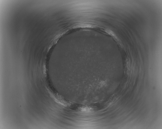 X0000063500500200601201416