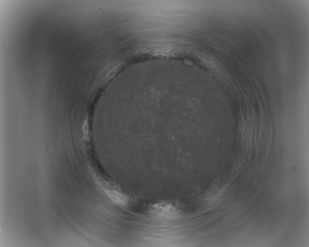 X0000063500502200601201416