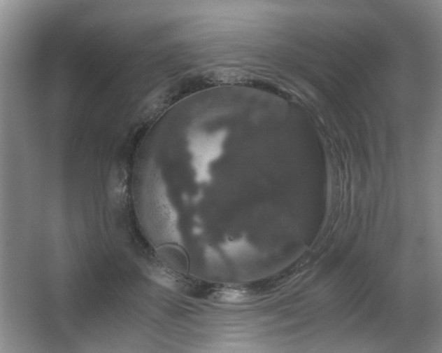 X0000063500507200601201416