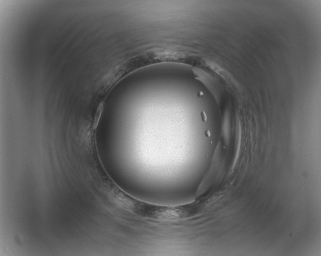 X0000063500513200601201416