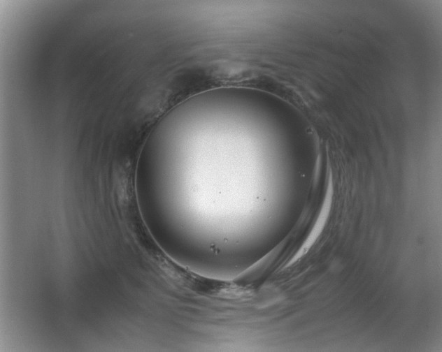 X0000063500515200601201416