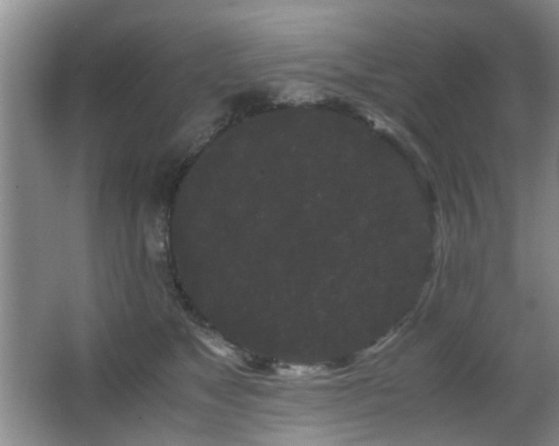 X0000063500517200601201416