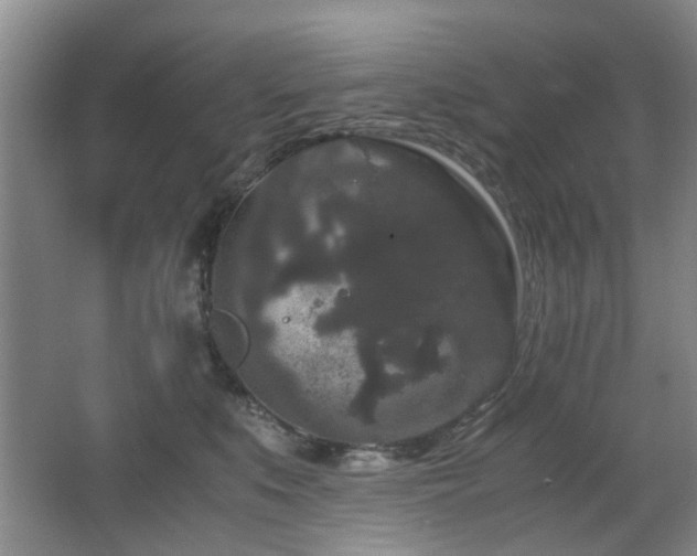 X0000063500519200601201416