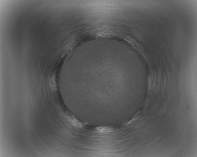 X0000063500520200601201416