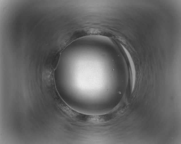 X0000063500521200601201416
