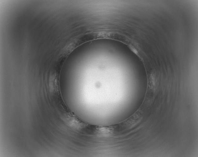 X0000063500522200601201416