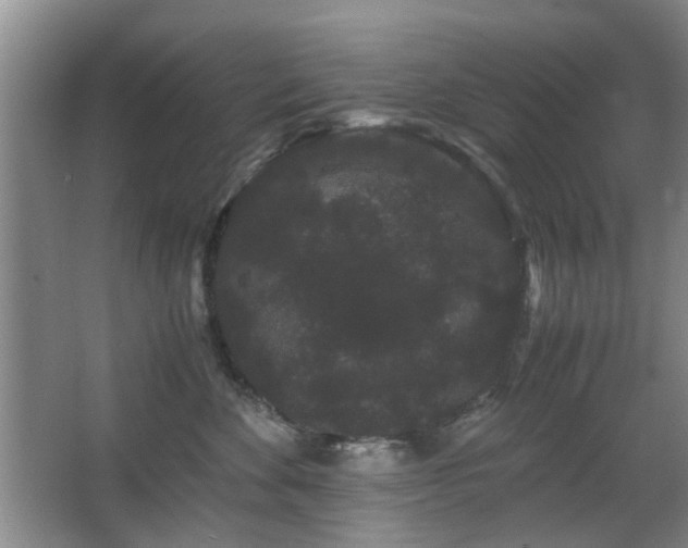 X0000063500524200601201416